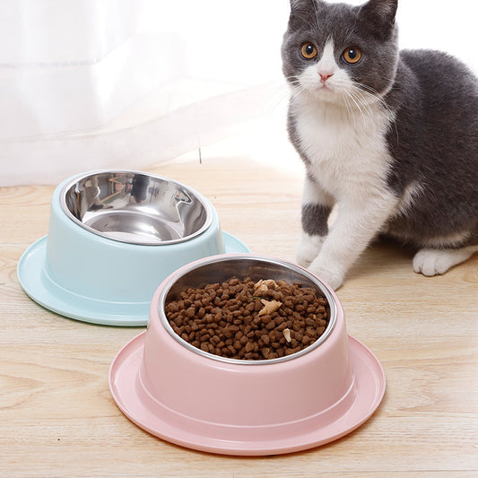 Cat Bowl