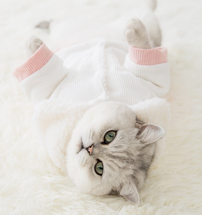 Cat Sweater